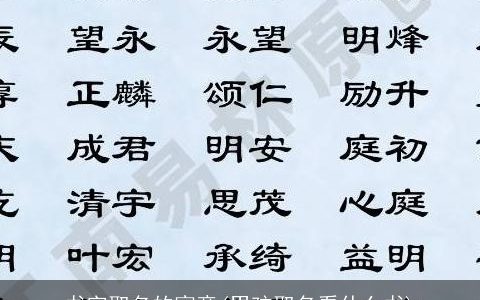 书字取名的寓意(男孩取名看什么书)