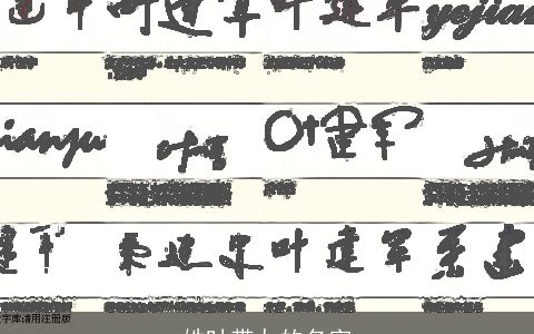 姓叶带九的名字