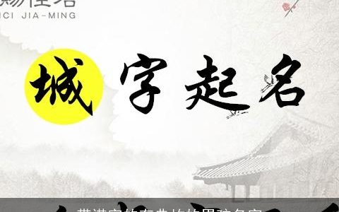 带诺字的有典故的男孩名字