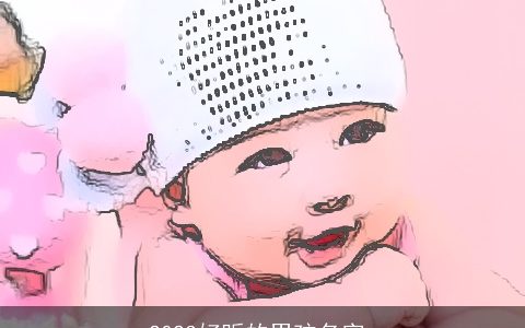 2023好听的男孩名字_