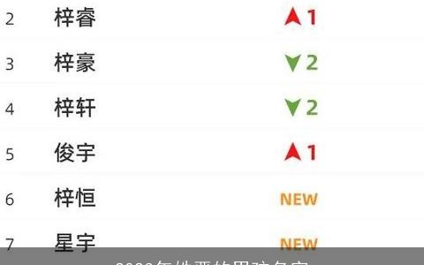 2024年姓严的男孩名字