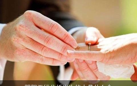 阴阳五行分析出生的人是什么命