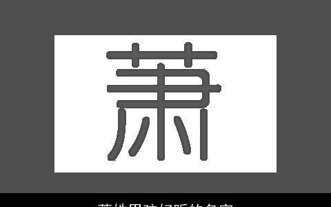 萧姓男孩好听的名字