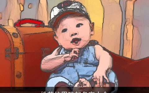 姓苏的男孩起名字大全