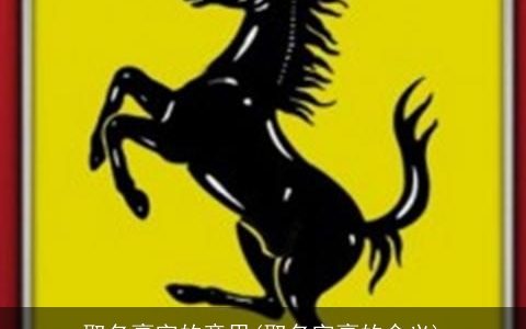 取名豪字的意思(取名字豪的含义)