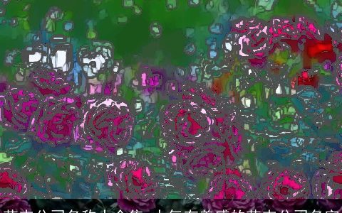 花卉公司名称大全集 大气有美感的花卉公司名字