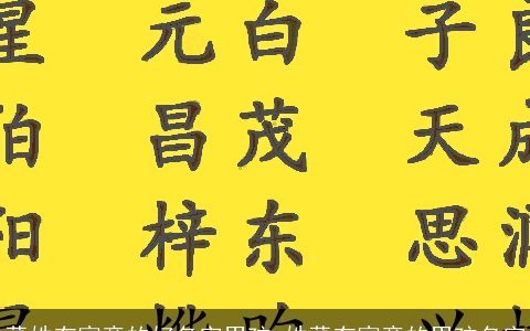 董姓有寓意的好名字男孩_姓董有寓意的男孩名字