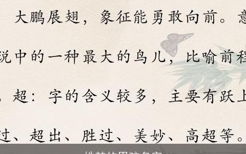 姓韩的男孩名字