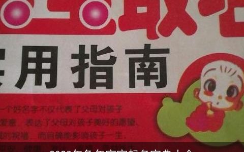 2023年兔年宝宝起名宝典大全