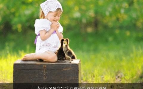 诗经取名兔年宝宝女孩诗经取名女孩兔宝宝 2023诗经中的女孩名字兔宝宝