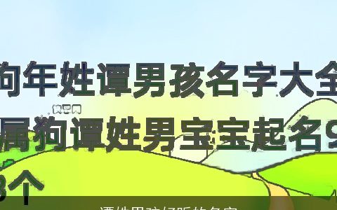 谭姓男孩好听的名字