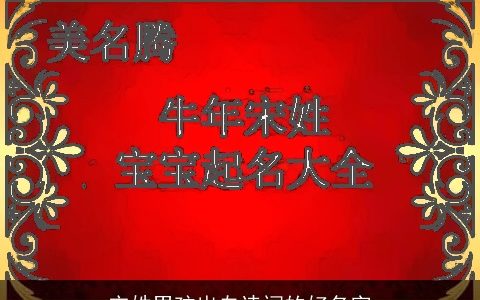 宋姓男孩出自诗词的好名字