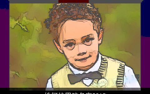 姓何的男孩名字2018