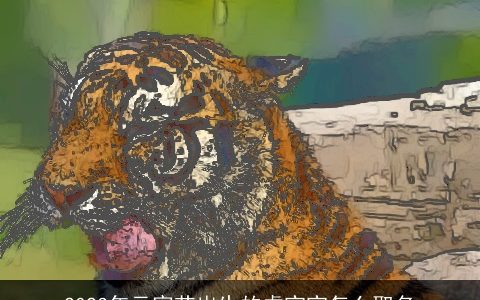 2023年元宵节出生的虎宝宝怎么取名