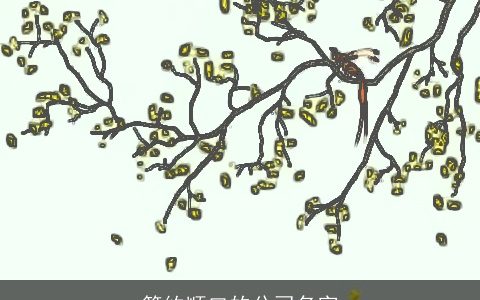 简约顺口的公司名字