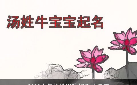 2024龙年徐姓男孩好听的名字