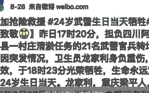 段姓取名大字辈男孩