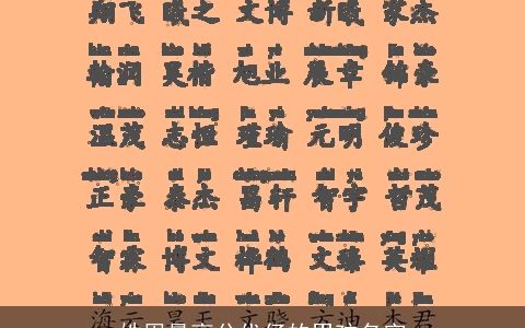 姓周最高分代仔的男孩名字