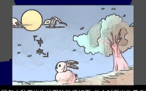 鼠年中秋节出生的男孩孩子好不 什么时辰出生最吉