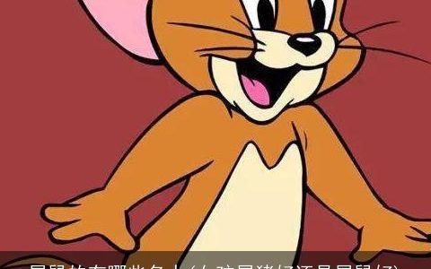 属龙的有哪些名人(女孩属龙好还是属龙好)