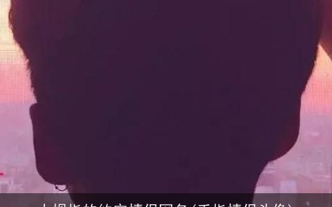 小拇指的约定情侣网名(手指情侣头像)