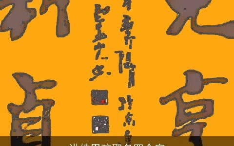 洪姓男孩取名四个字