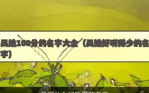 吴明什么好听男孩名字