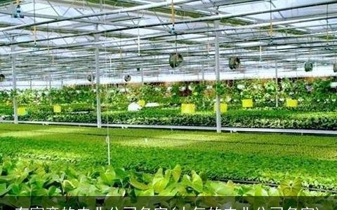 有寓意的农业公司名字(大气的农业公司名字)