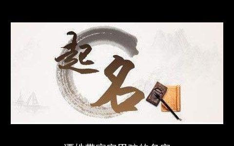 谭姓带宸字男孩的名字