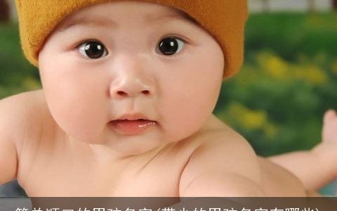 简单顺口的男孩名字(带少的男孩名字有哪些)