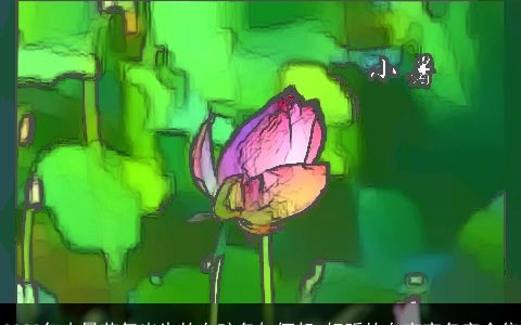 2023年小暑节气出生的女孩名如何起 好听的女宝宝名字合集