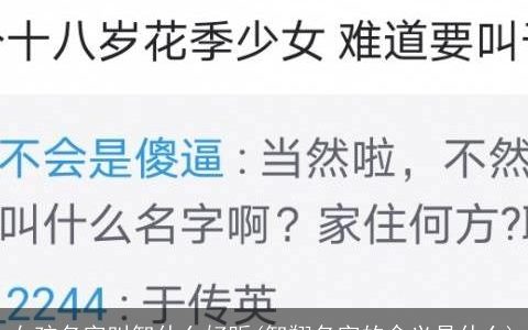 女孩名字叫智什么好听(智翔名字的含义是什么)