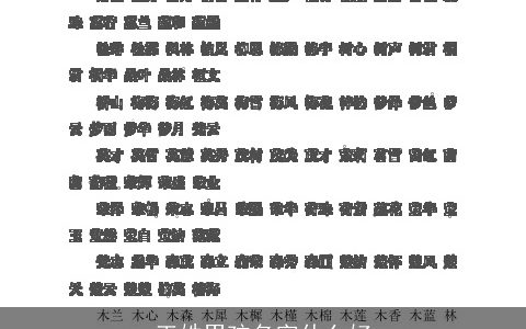 王姓男孩名字什么好