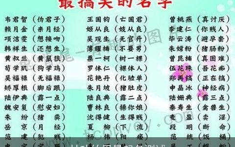 甘功竹周易起名测试