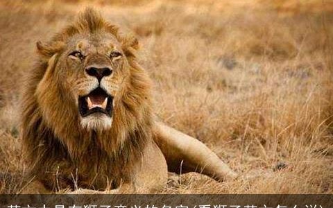 英文中具有狮子意义的名字(看狮子英文怎么说)