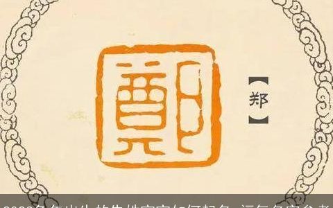 2023兔年出生的朱姓宝宝如何起名 福气名字参考