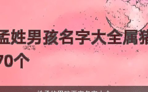 姓孟的男孩两字名字大全