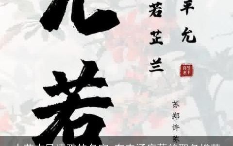 中药古风清雅的名字 有内涵底蕴的取名推荐