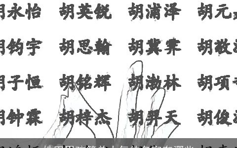 姓田男孩简单大气的名字有哪些