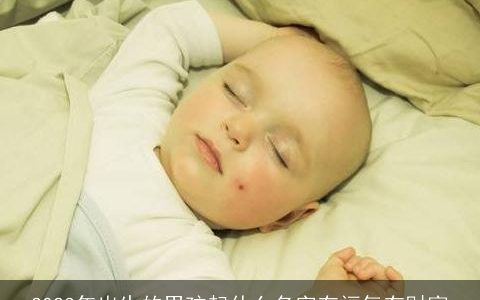 2023年出生的男孩起什么名字有福气有财富