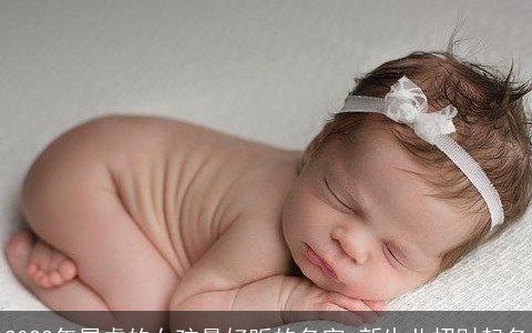 2024年属虎的女孩最好听的名字 新生儿招财起名