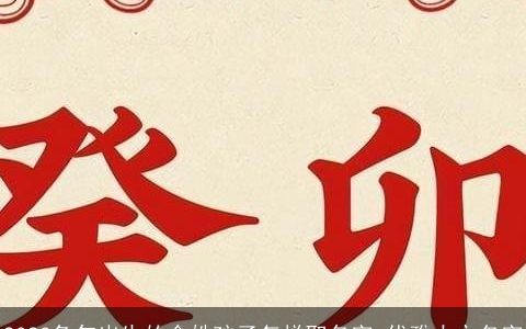 2023兔年出生的金姓孩子怎样取名字 优雅大方名字