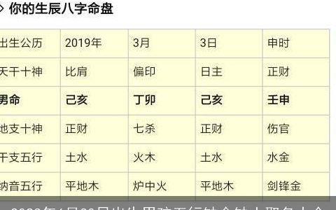 2024年6月30日出生男孩五行缺金缺土取名大全