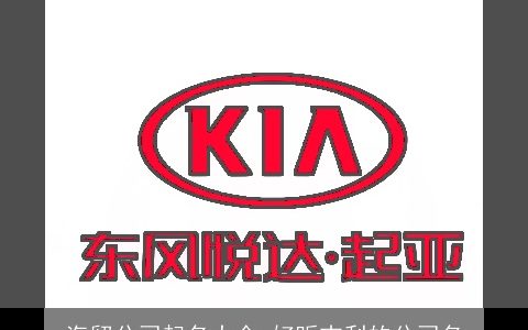 汽贸公司起名大全 好听吉利的公司名