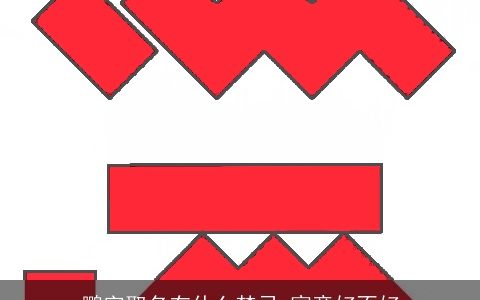 鹏字取名有什么禁忌 寓意好不好