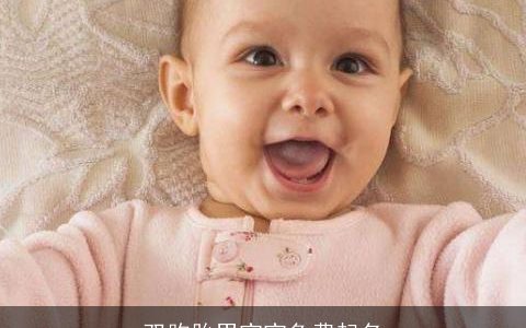 双胞胎男宝宝免费起名