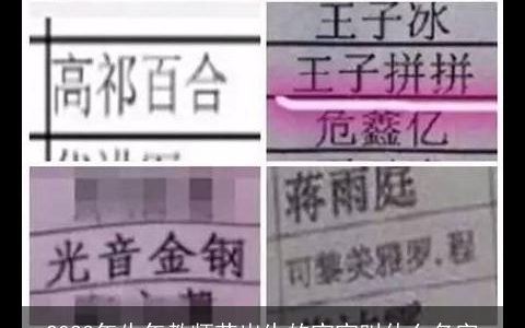 2023年牛年教师节出生的宝宝叫什么名字