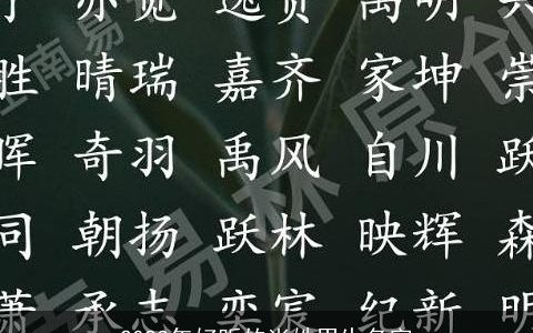 2023年好听的尚姓男生名字