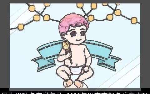 属龙男孩名字洋气的 2024年男宝宝起名注意事项