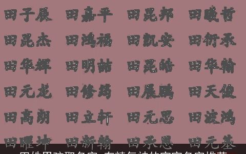 田姓男孩取名字 有精气神的宝宝名字推荐